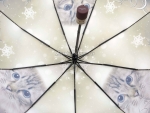 Зонт  женский Popular 1236-1_product